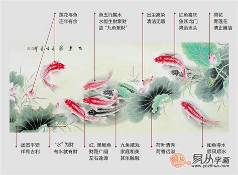 九魚|九魚圖適合掛在哪裡？九魚圖寓意和風水禁忌